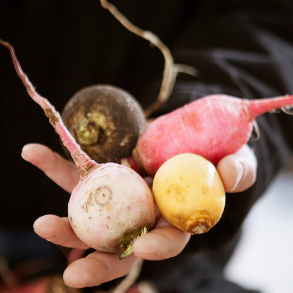 reportage photo dans un marche avec un gros plan sur des main tenant des legumes