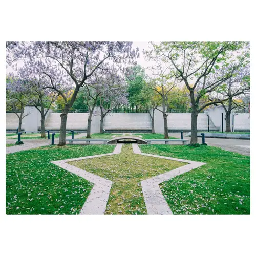 photo d'architecture, d'un parc urbain en béton avec des arbres en fleurs au printemps, très stylisé
