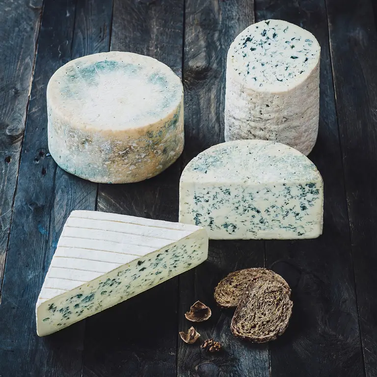 Assortiment de quatre fromages bleus persillés, formes variées avec une ambiance de composition sur une en bois table sombre à Bordeaux.