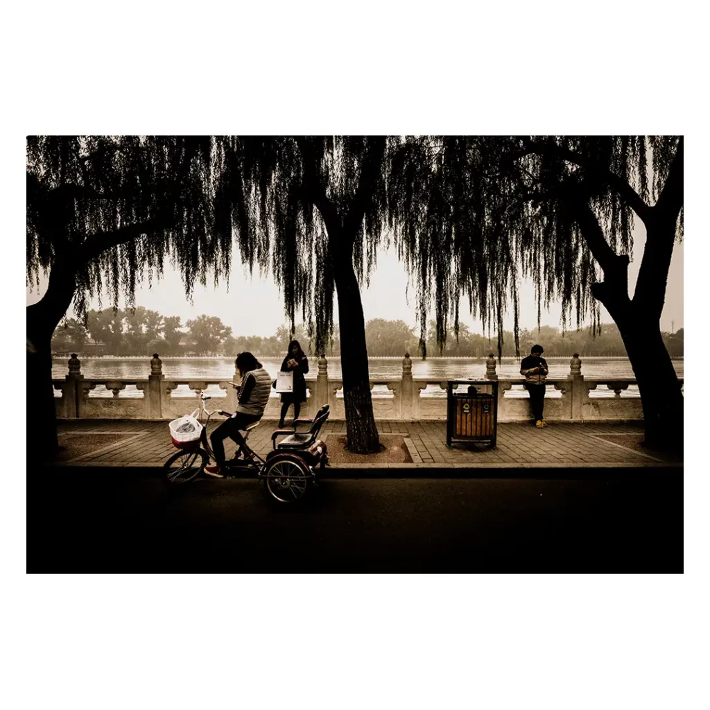 beijing night trees silhouette french photographer