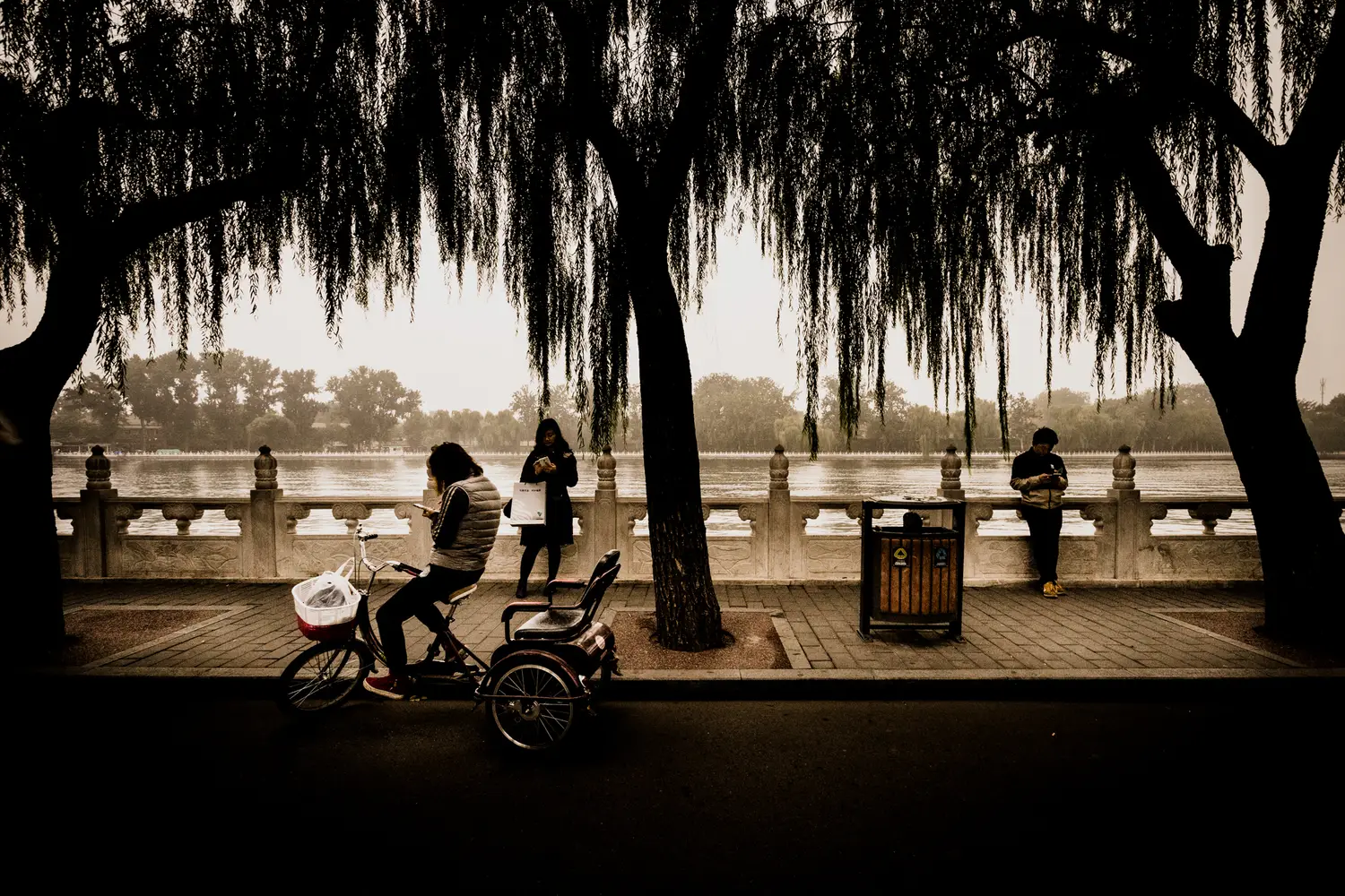 beijing night trees silhouette