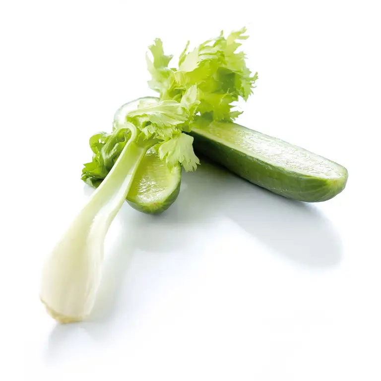 Concombres fendus et branche de céleri, reflets nets - sur fond photo blanc brillant, très gros plan, avec un rendu très frais.