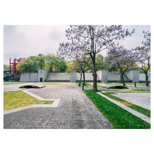 parc urbain béton avec des arbres en fleurs au printemps, très graphique