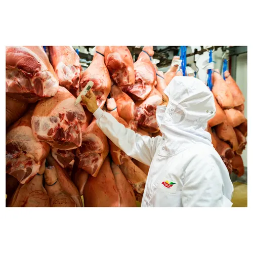contrôle qualité d'un technicien qui mesure la température de viande porcine en chambre froide
