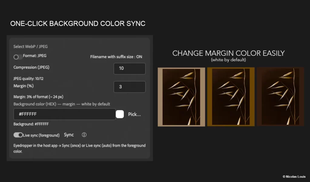 Set a custom margin background in one click and export cleanly, without cropping.