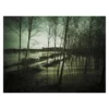 atelier photo smarphone paysage dieulefit 03 Cours de photo smartphone Dieulefit - Forêt inondée avec alignement d'arbres aux branches nues, capturé en contre-jour.