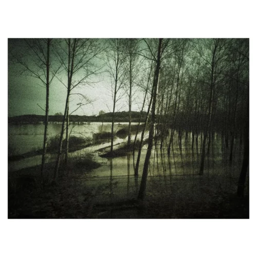 atelier photo smarphone paysage dieulefit 03 Cours de photo smartphone Dieulefit - Forêt inondée avec alignement d'arbres aux branches nues, capturé en contre-jour.