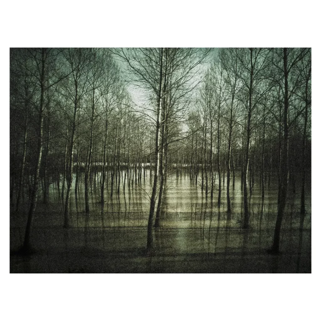 Formation photo sur téléphone Dieulefit - Alignement symétrique d'arbres nus se reflétant dans l'eau, perspective profonde.